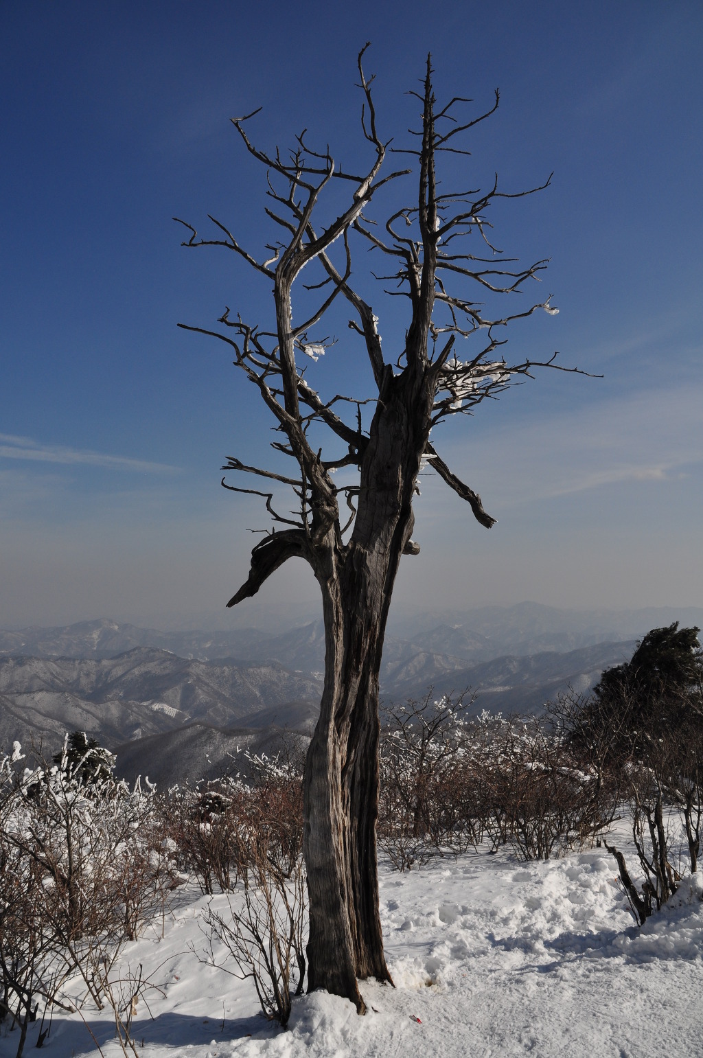 태백산 전경 이미지