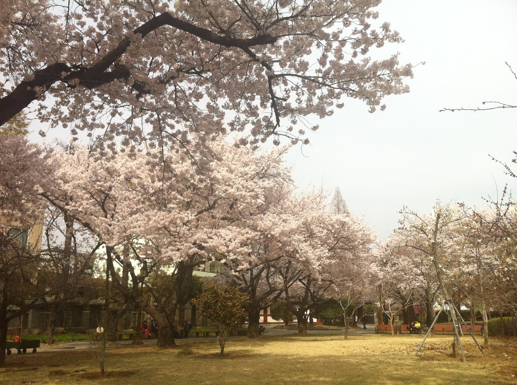 중앙농원 이미지