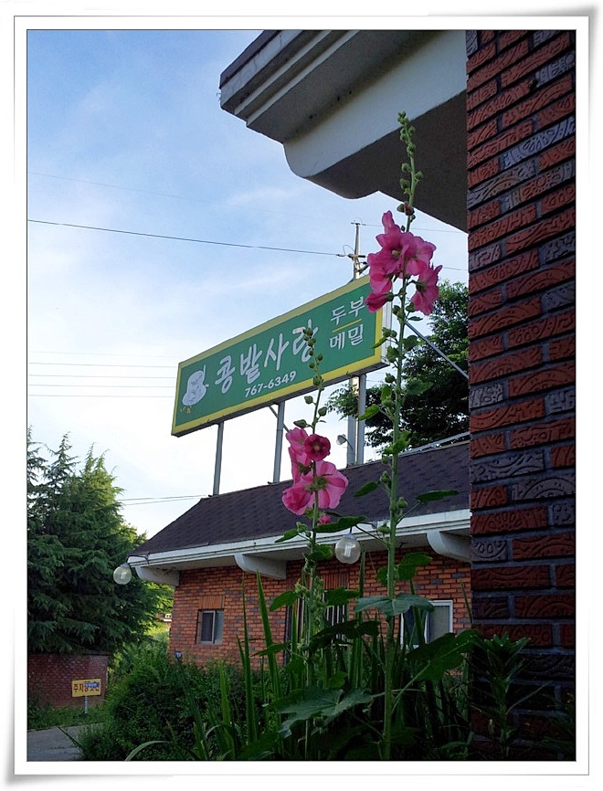사랑식당 이미지
