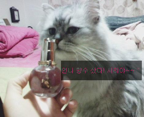 (주)셔리 이미지