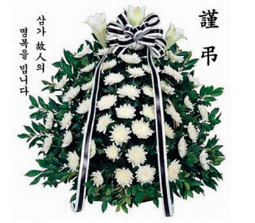 박*훈 이미지