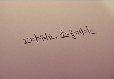 찬놀 이미지