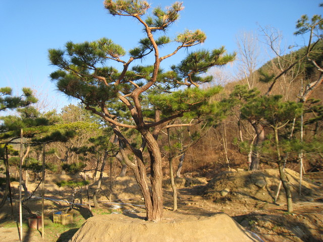 지리산농장 이미지