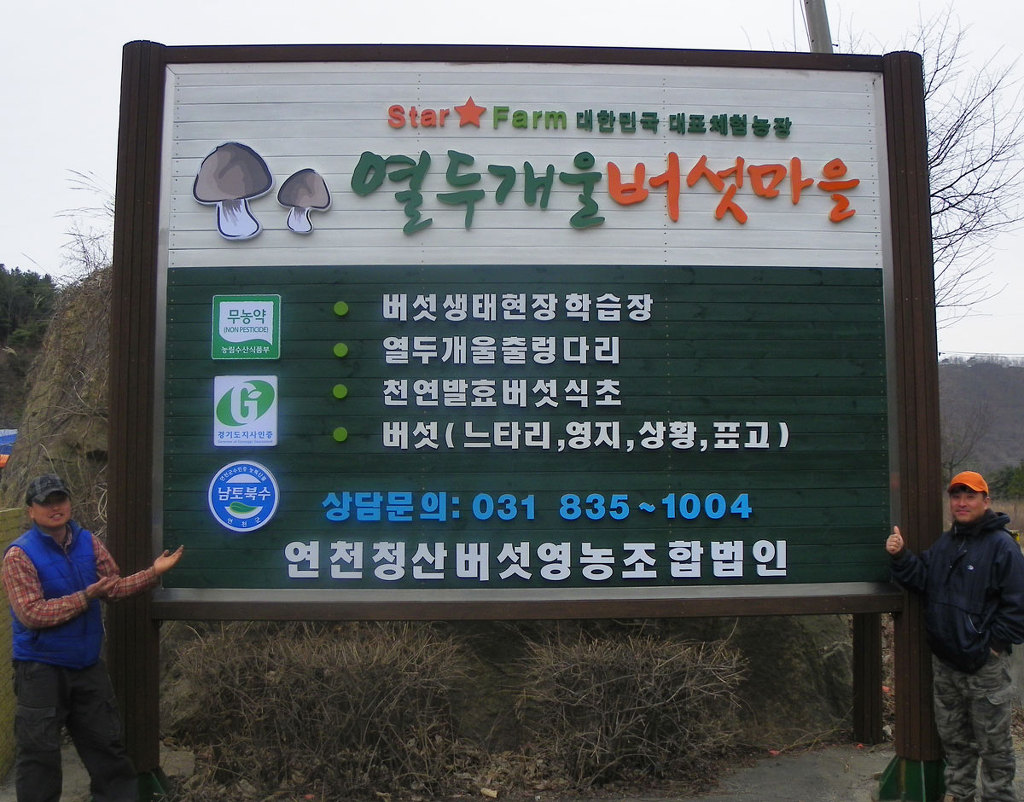 열두개울버섯마을 이미지