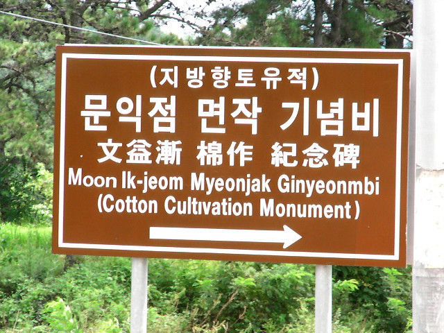 목화밭풍경 이미지