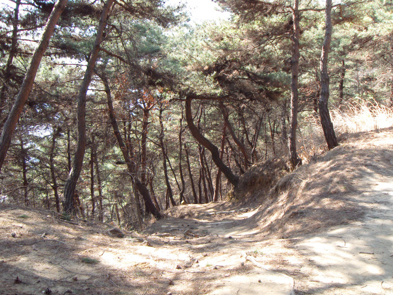 돈달산 이미지
