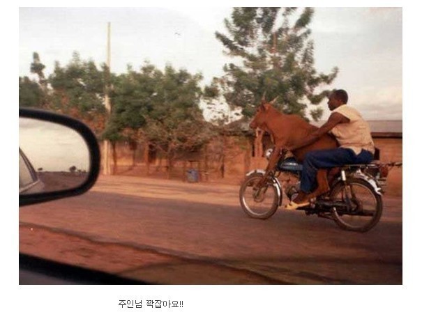 이*복 이미지