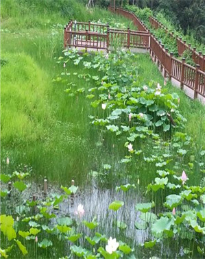 원수산 이미지
