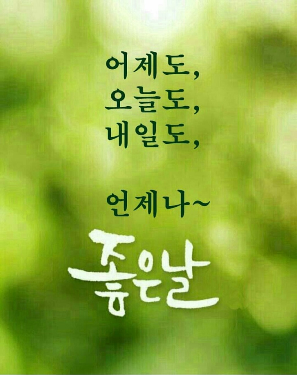 모닝다방 이미지