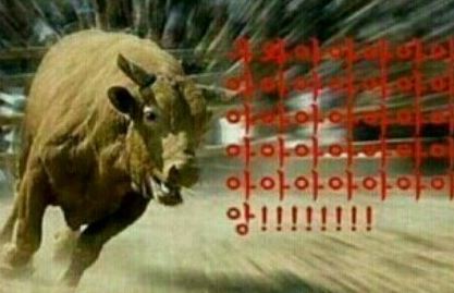 공감 이미지