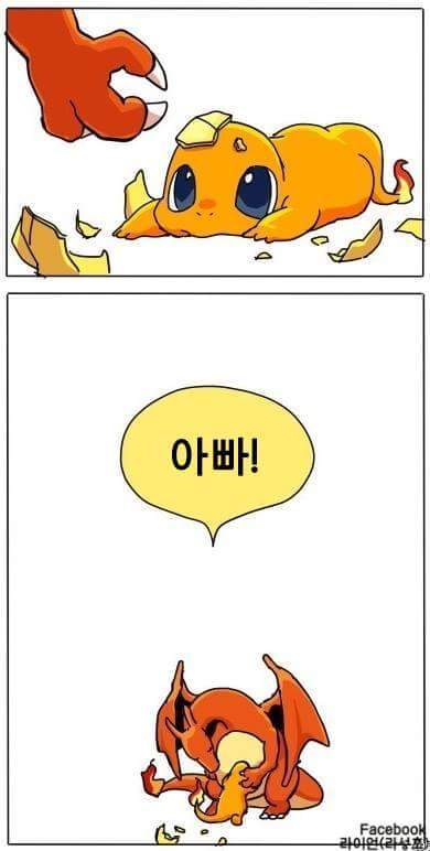 파이리 이야기 | 인스티즈