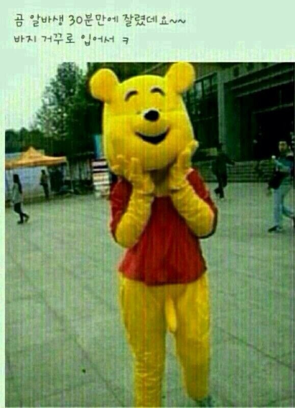 알바 이미지