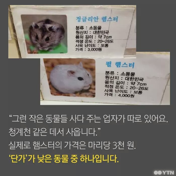 햄스터가 폐기물인가요? | 인스티즈