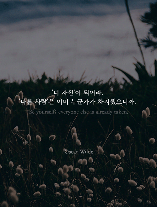 자존감이 낮은 당신에게 꼭 필요한 명언 13가지.gif | 인스티즈