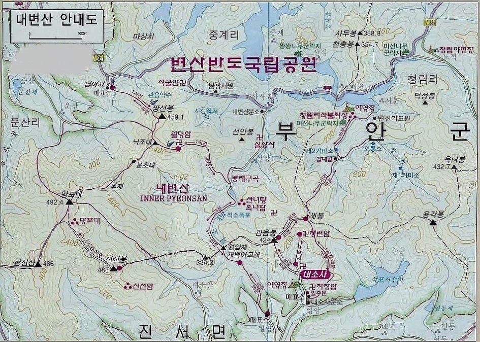 365차 이미지