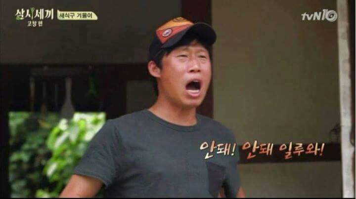 강아지가 안 보일때 꿀팁 | 인스티즈
