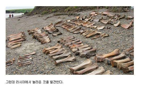 10만년마다 지구로 떨어지는 소행성 (부제 - 빙하기) | 인스티즈