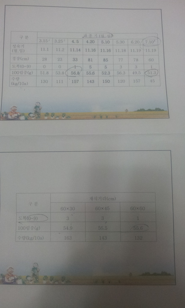 밀양슈퍼 이미지
