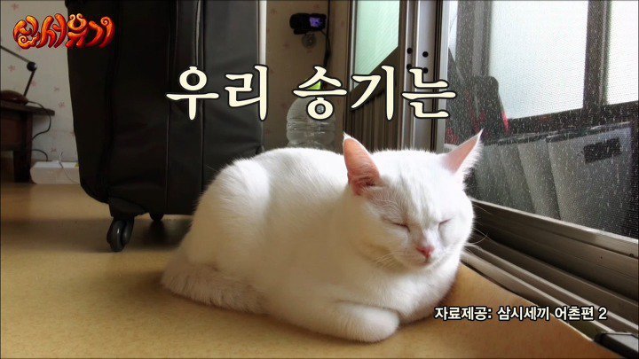 이승기가 알려주는 편집해달라 하는 방법 | 인스티즈