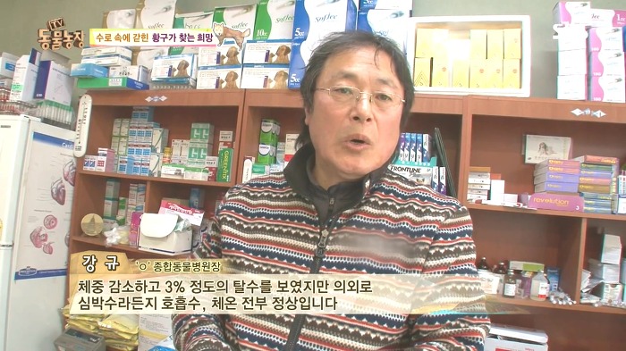 [동물농장] 수로 속에 갇힌 황구가 찾는 희망.JPG (감동주의) | 인스티즈