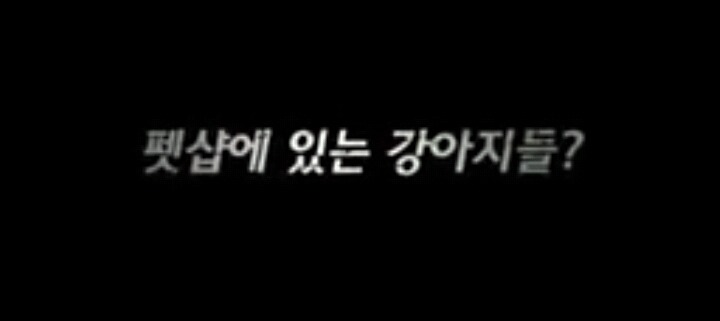 충격적인 강아지 공장 실태(서명운동) | 인스티즈