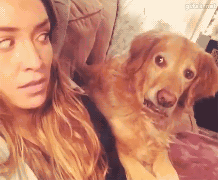 주인이 내 밥그릇에 손을 댄거 같다.. | 인스티즈