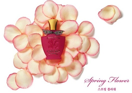 향수가 다 똑같은 향수만 있다고 생각하는건 아니겠지? 향수에도 수준이존재한다구^^ 우리 잇GIRL처럼 | 인스티즈