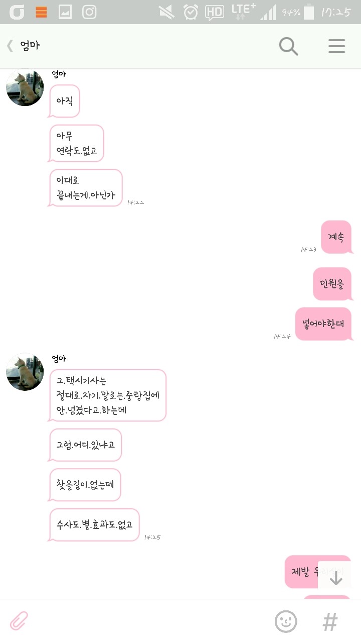 개소주로 만들어져버린 우리집 강아지 매실이를 도와주세요. 부탁드려요. 제발 퍼트려주세요 | 인스티즈