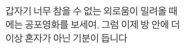 외로움에 사무칠때 꿀팁.JPG | 인스티즈