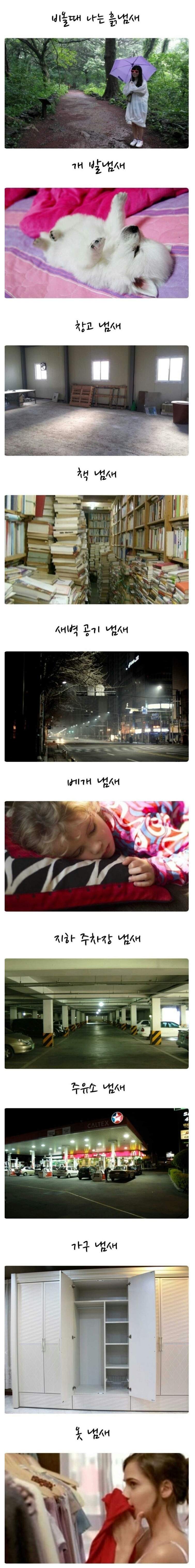 [공감] 사람들이 은근히 좋아하는 냄새들 | 인스티즈