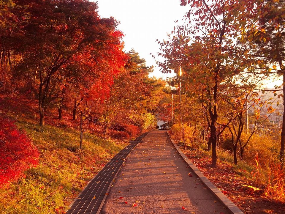 214BF433582C35DF13441B