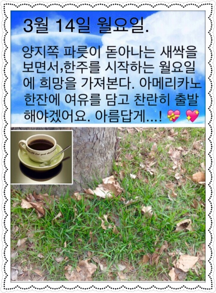 아메리칸커피 이미지