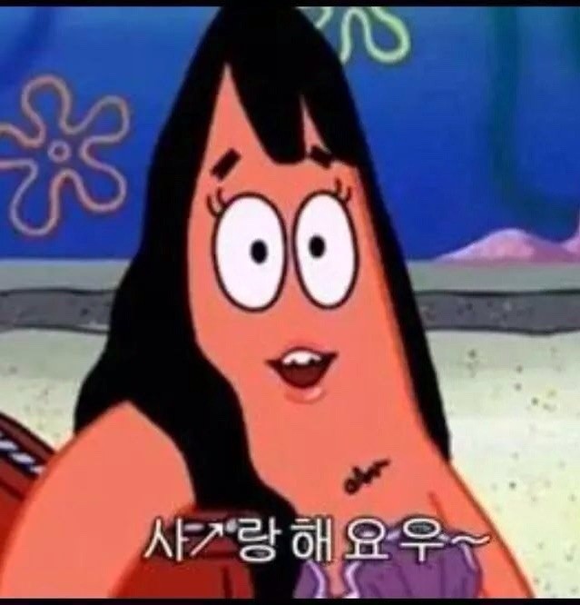 부메랑 이미지