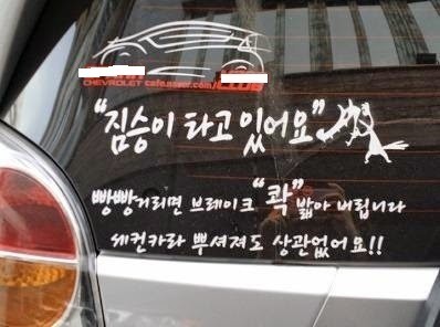 왜 붙이는지 이해못하는... 보면 어쩌라고가 자동으로 떠오르는것들 | 인스티즈