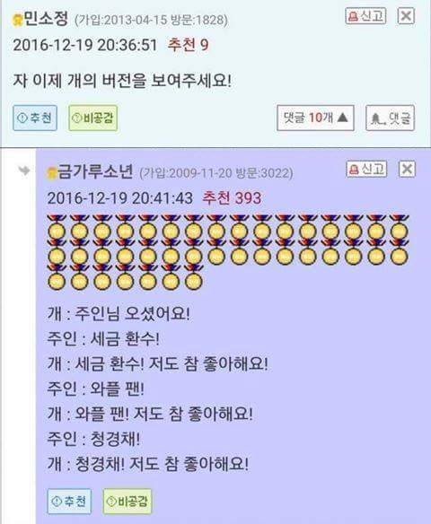 개와 고양이의 차이점 | 인스티즈