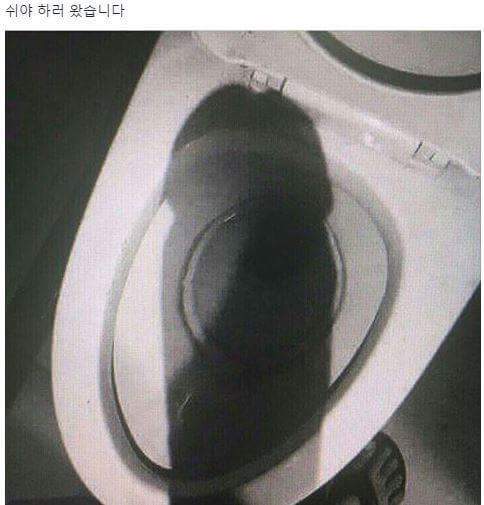 허언증갤러리 레전드 | 인스티즈