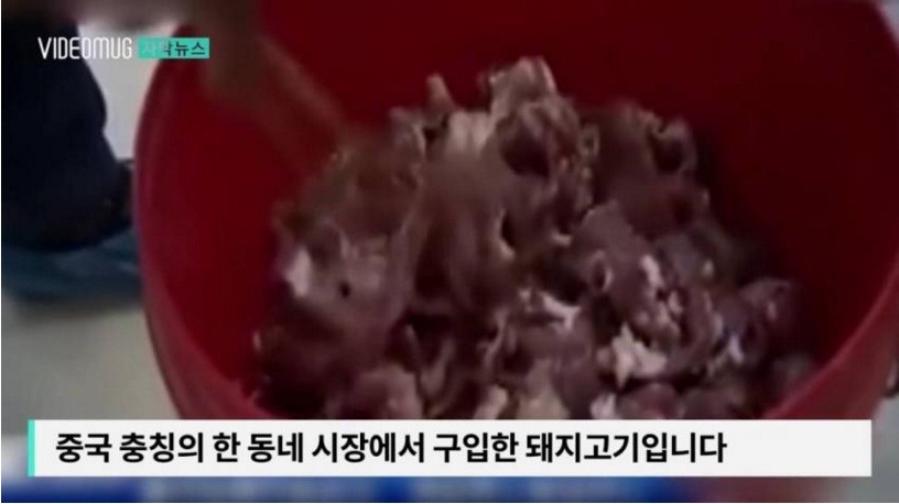 중국의 야광 돼지고기 | 인스티즈