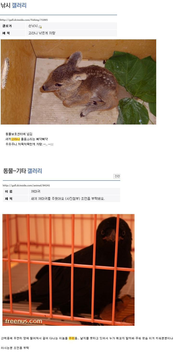 디씨의 흔한 줍기 클라스.jpg | 인스티즈