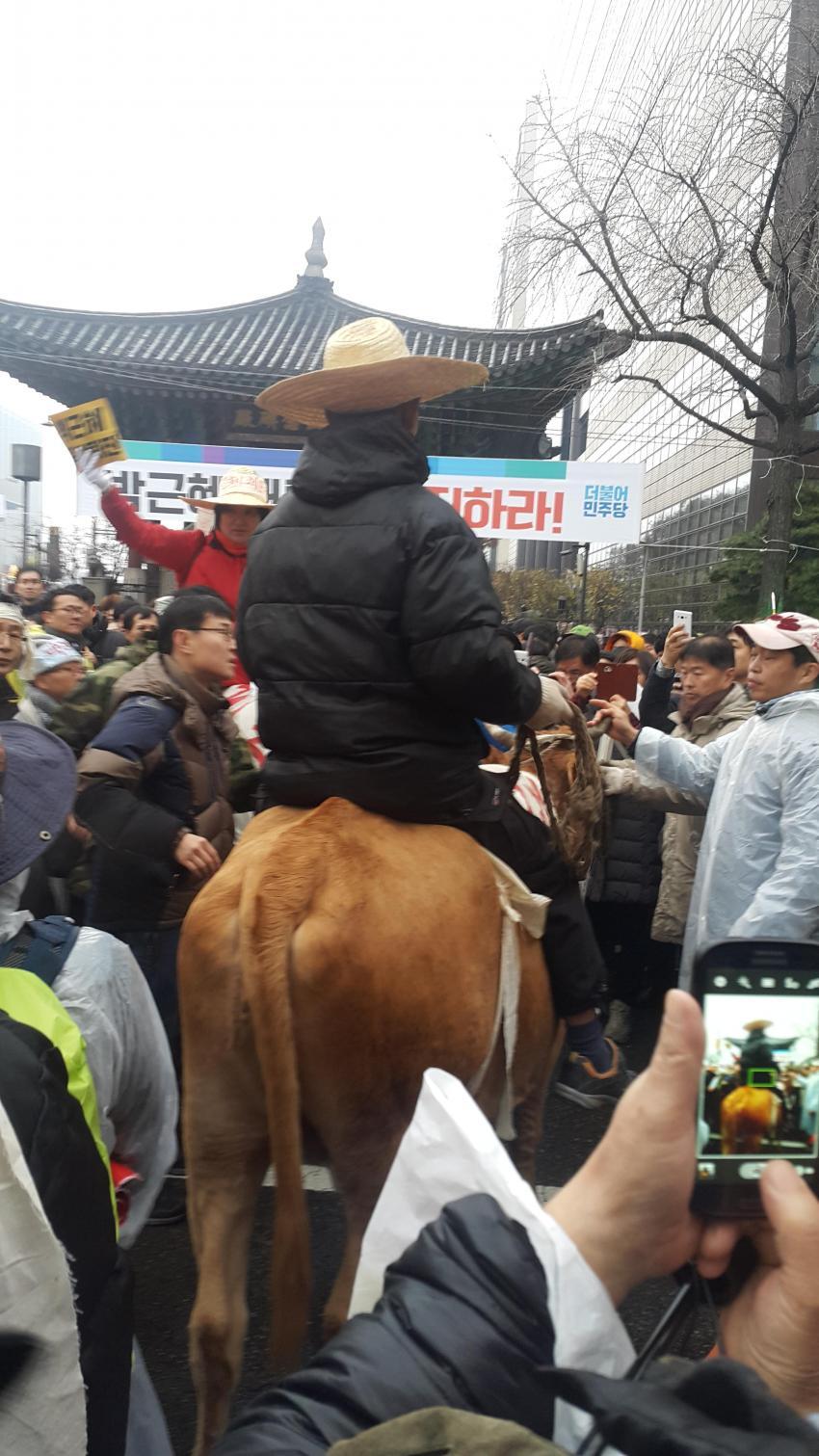 광화문에 나타난 기병대 | 인스티즈