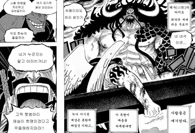 사실상 최강캐릭터.jpg (원피스) | 인스티즈