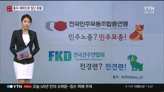 오늘 시위 참여 단체들 | 인스티즈