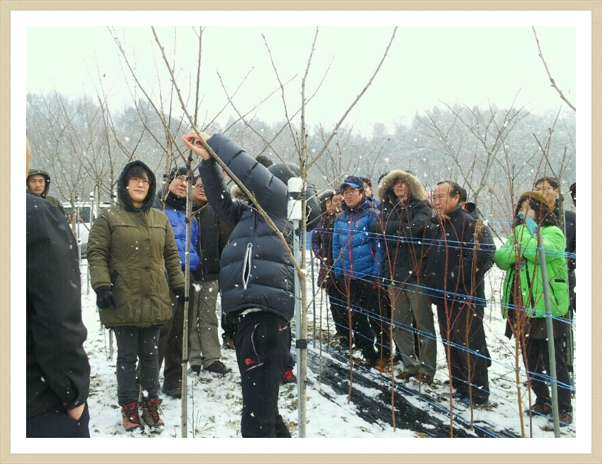 수림조경 이미지