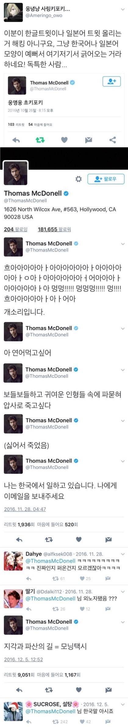 SNS에 아무말이나 하는 외국인.jpg | 인스티즈
