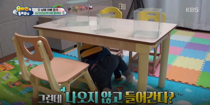 대박이의 아련아련 눈빛공격 (대박이의 성격은? 천성 vs 후천적 교육) | 인스티즈
