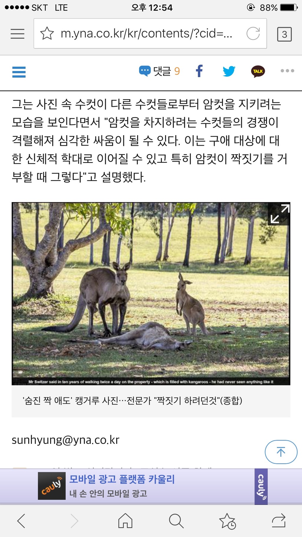 전문가는 너무해 ㅜㅛㅜ | 인스티즈