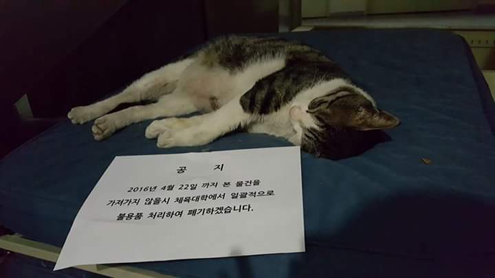 함부로 들어갔다가는 폭행당한다는 국민대 | 인스티즈