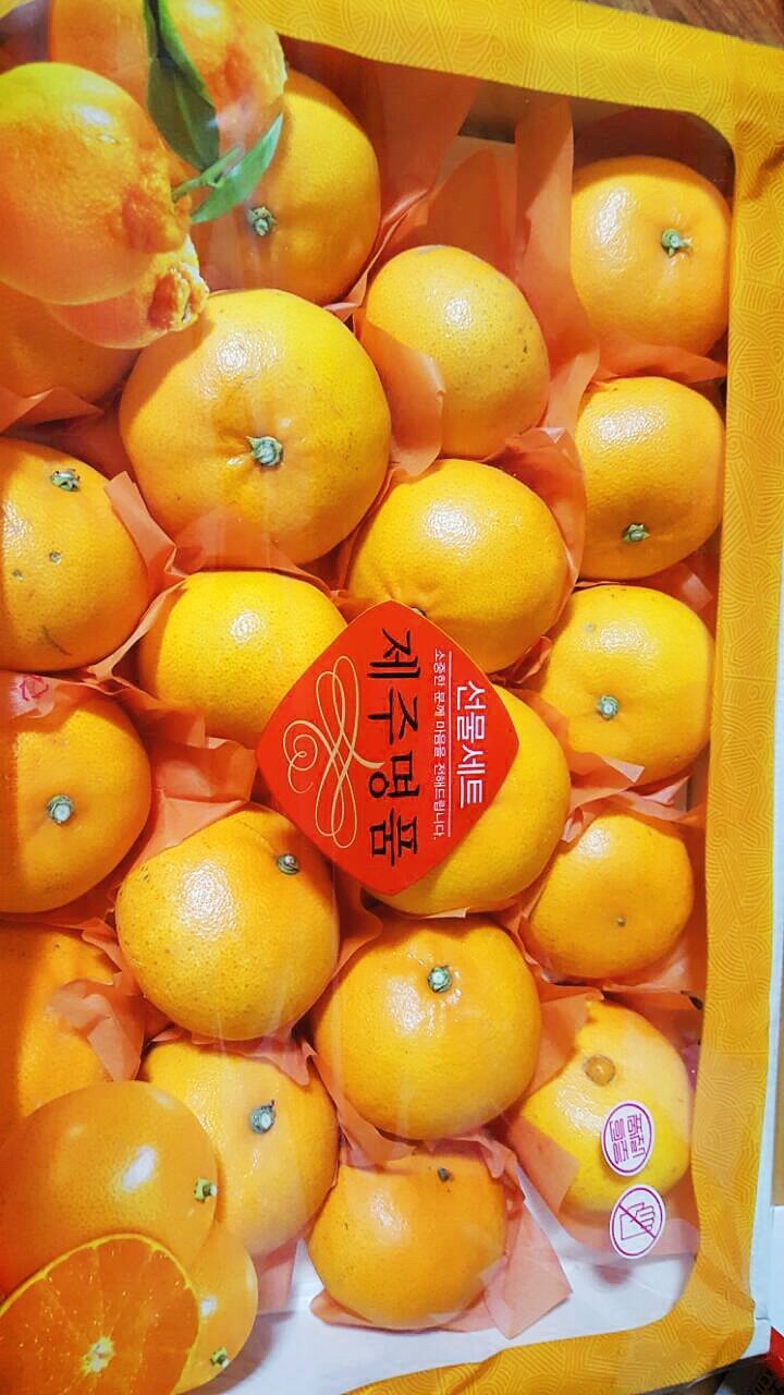 청정과일 이미지