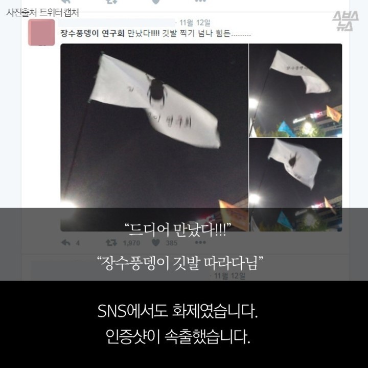  광화문 개념충 장수풍뎅이 연구회 | 인스티즈