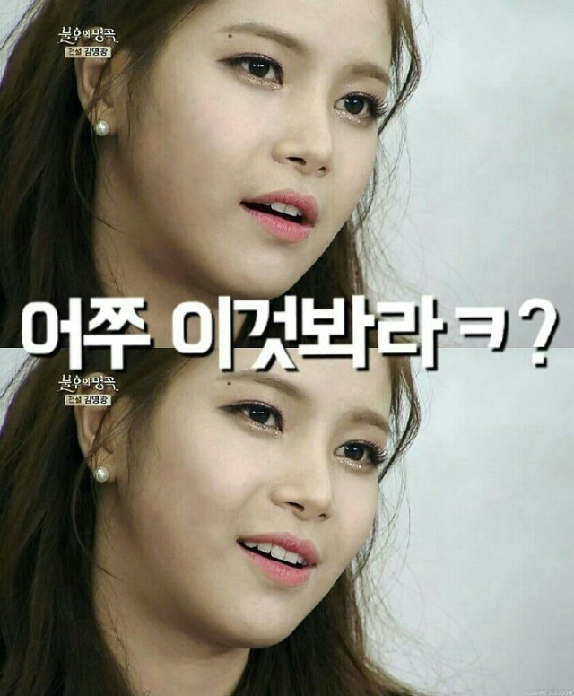 태극기 깔고 술마시는 애국보수 박사모.jpg | 인스티즈