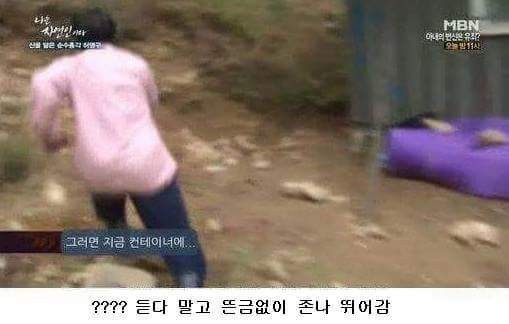 휴가 갔다 왔는데 침대에 '초대형 벌집'이 생겼어요 | 인스티즈